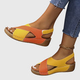 https://cdn.shopify.com/s/files/1/1037/6196/9489/files/cb41b61d50334a5c947a98edfa53f55e_782d878e-76a6-406a-9a92-830bcb0aa9d4.jpg?v=1781383405