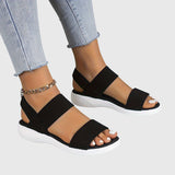 https://cdn.shopify.com/s/files/1/1057/5383/7908/files/cb54ce281c0a4d99a9a0b0408e326044_3c154c10-659c-4274-bf62-4f14bb2df04c.jpg?v=1785187356