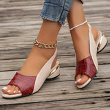 https://cdn.shopify.com/s/files/1/1037/6196/9489/files/d052cc21-2148-4520-93f6-1a035ed60565_ac12f2bf-d6ae-4966-bfc9-71ae71e4f737.jpg?v=1781383402