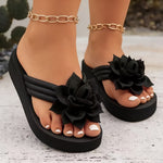 https://cdn.shopify.com/s/files/1/1037/6196/9489/files/d9134c62-7cab-4002-be82-3a23704f280e.jpg?v=1780780588