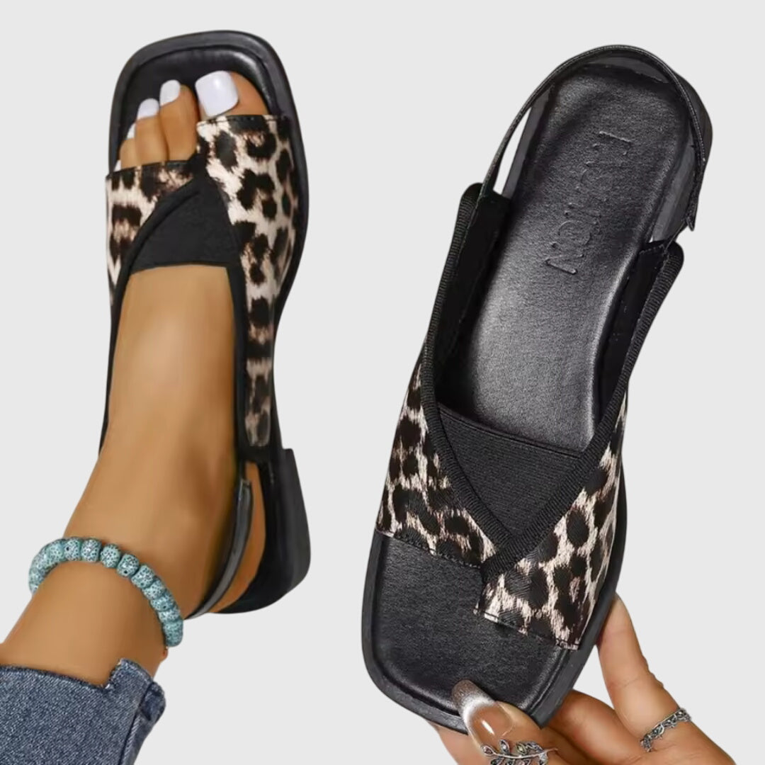 https://cdn.shopify.com/s/files/1/1057/5383/7908/files/d92009f3339c48de9312b8867a075ce0.jpg?v=1785187802