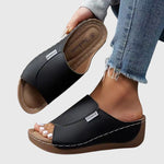 https://cdn.shopify.com/s/files/1/1057/5383/7908/files/dc941970f51d47ea9fe794c13d73c864.jpg?v=1785187384