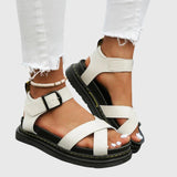 https://cdn.shopify.com/s/files/1/1057/5383/7908/files/de0513f0216040d38f98838b5dd0f8bd.jpg?v=1785187336