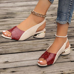 https://cdn.shopify.com/s/files/1/1037/6196/9489/files/dfebaffd-51b7-4a02-abea-be78e3f72d30.jpg?v=1780780588