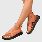 https://cdn.shopify.com/s/files/1/1057/5383/7908/files/e78cc2cb5fca4c2aa9698358a359f3a6.jpg?v=1785187786