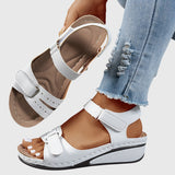 https://cdn.shopify.com/s/files/1/1057/5383/7908/files/eda36f12e3ae424b92217c4a0b7cc8fb.jpg?v=1785187745