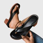 https://cdn.shopify.com/s/files/1/1057/5383/7908/files/f07baadc8da54a70b13dab8f785d2ecb_1ec09bb8-878e-405a-8589-55dbd5ce5b67.jpg?v=1785187336
