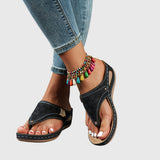 https://cdn.shopify.com/s/files/1/1037/6196/9489/files/f114f543c20747e98d4ded3f66e8bc6d_635be1c1-f61c-4bd1-8ef1-c8626939540b.jpg?v=1781383405