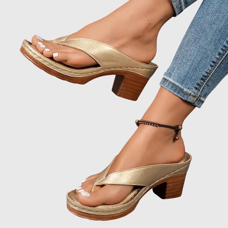 https://cdn.shopify.com/s/files/1/1057/5383/7908/files/f2195a006731483cbcc472331aea1ed3_e37267f4-d3e1-46e3-93ef-2d0742a0f87e.jpg?v=1785187336