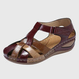 https://cdn.shopify.com/s/files/1/1057/5383/7908/files/f55f9d3da9af46cc979ea2553f89f27a_0fdce80e-ef77-4bc1-a450-944a0bb3d699.jpg?v=1785187359