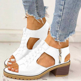 https://cdn.shopify.com/s/files/1/1037/6196/9489/files/f62388ee0159683488ed4cba0ff6a4e3.png?v=1782842343