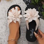 https://cdn.shopify.com/s/files/1/1037/6196/9489/files/f69fc06f-cfc3-47c0-9932-281d86d0da5f.jpg?v=1780780589