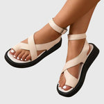 https://cdn.shopify.com/s/files/1/1057/5383/7908/files/f72d139922864b02a5d38d5ba6c8d88c.jpg?v=1785187786