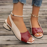 https://cdn.shopify.com/s/files/1/1037/6196/9489/files/f844d41f-eb8a-4a06-ad0c-e8ec31391906_bd8b629f-9cf1-425e-b2a0-98977adead1a.jpg?v=1781383402