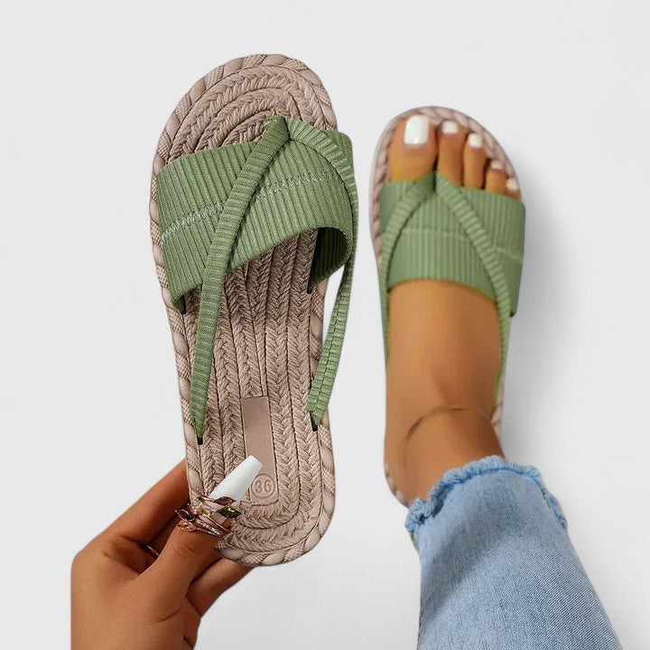 https://cdn.shopify.com/s/files/1/1057/5383/7908/files/ibs2_720x_a3f250e9-db57-4478-89d2-cd4d13bfe695.jpg?v=1785187770