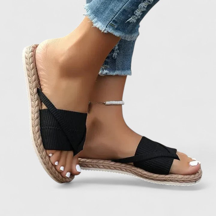 https://cdn.shopify.com/s/files/1/1037/6196/9489/files/ibs6_720x_ccf1f350-94c3-4a74-aab8-3029f501fc33.jpg?v=1780780595
