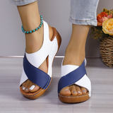 https://cdn.shopify.com/s/files/1/1037/6196/9489/files/image_1_86f3ce42-9287-4b95-bfd0-69efb526efee.png?v=1781383406
