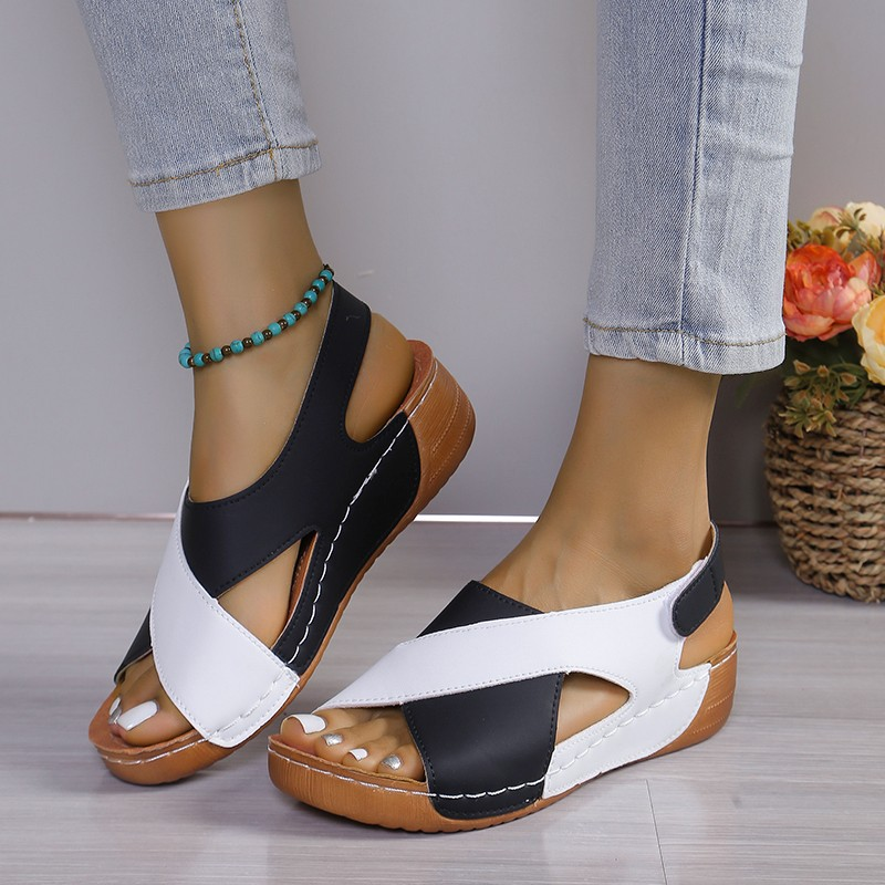 https://cdn.shopify.com/s/files/1/1037/6196/9489/files/image_cde29dae-4e53-4884-ab7e-2423aa20ea4d.png?v=1781383405