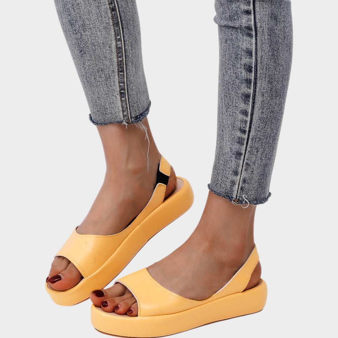 https://cdn.shopify.com/s/files/1/1057/5383/7908/files/imgi_65-Photoroom_07c7eb7b-83c6-4a76-a65f-fd3399a1e26b.jpg?v=1785187388