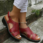 https://cdn.shopify.com/s/files/1/1057/5383/7908/files/red_1000x_9989642a-a02b-4ec6-a859-f406d4dfdf49.webp?v=1785187833